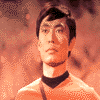 sulu_01.png (4601 bytes)