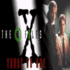 Xf-none.gif (4010 bytes)