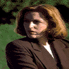 xf220alg.gif (4082 bytes)